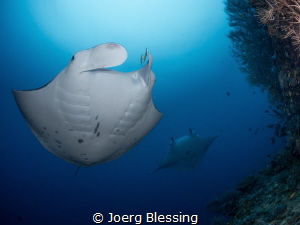 cleaning time by Joerg Blessing 